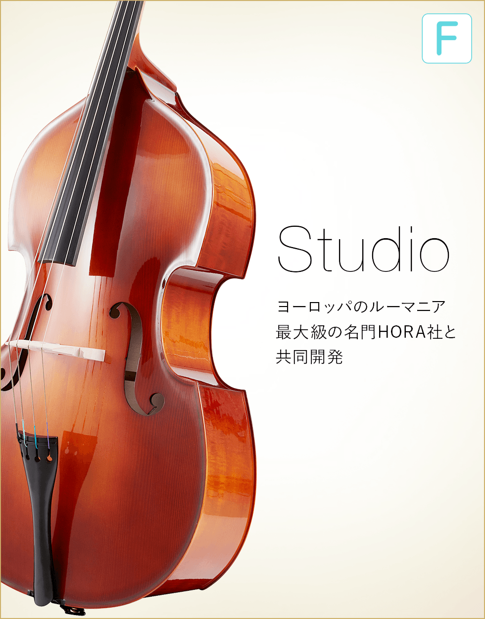 F  Studio  ヨーロッパのルーマニア最大級の名門HORA社と共同開発