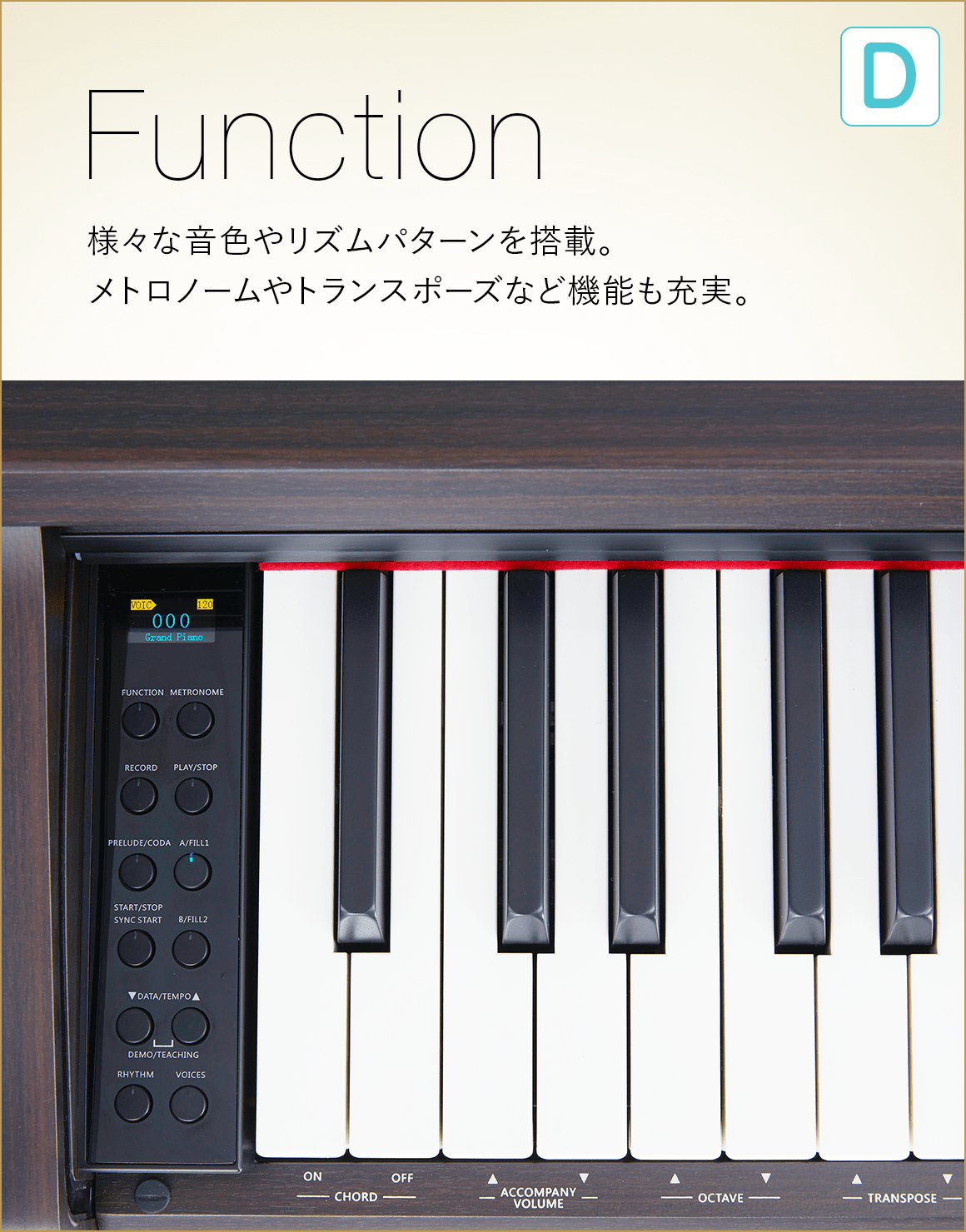 D  Function 様々な音色やリズムパターンを搭載。メトロノームやトランスポーズなど機能も充実。