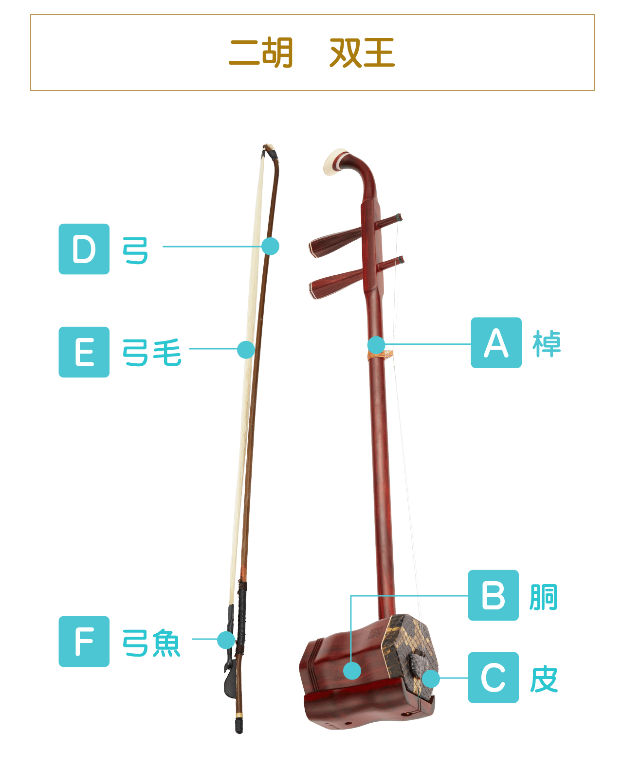 ニ胡　双王  A:棹 B:胴 C:皮 D:弓 E:弓毛 F:弓魚