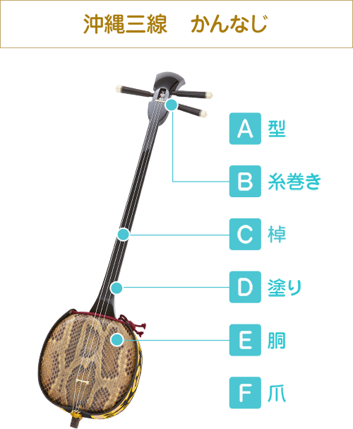 沖縄三線　かんなじ　A 型　B　糸巻き　C　棹　D　塗り　E　胴　F　爪