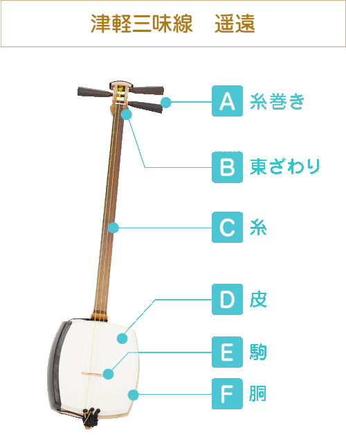 津軽三味線　遙遠  A:糸巻き B:東ざわり C:糸 D:皮 E:駒 F:胴
