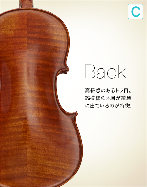 C  Back　高級感のあるトラ目。縞模様の木目が綺麗に出ているのが特徴。