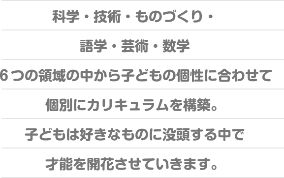 科学・技術・ものづくり・語学・芸術・数学６つの領域の中から子どもの個性に合わせて個別にカリキュラムを構築。子どもは好きなものに没頭する中で才能を開花させていきます。