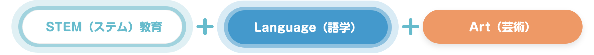 「STEM（ステム）教育」+「Language（語学）」+「Art（芸術）」